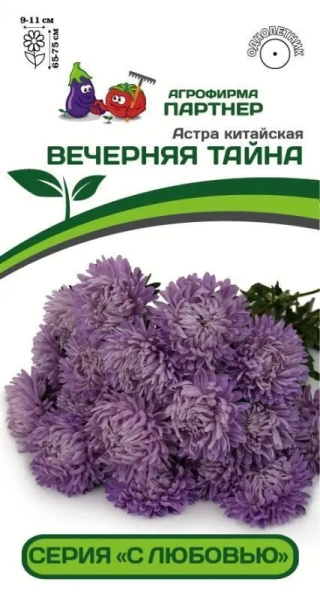 астра вечерняя тайна