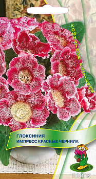 Глоксиния Импресс Красные Чернила (5шт) Поиск/10