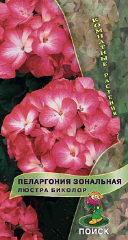 Пеларгония Люстра Биколор F1 (5шт) Поиск/10
