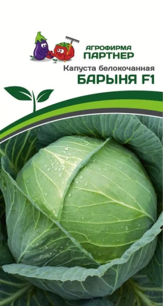 Капуста барыня