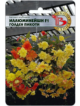 Бегония Иллюминейшн F1 Голден Пикоти (8шт) Биотехника/10