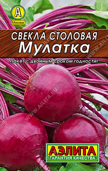 Свекла Мулатка (2г) Лидер Аэлита/10