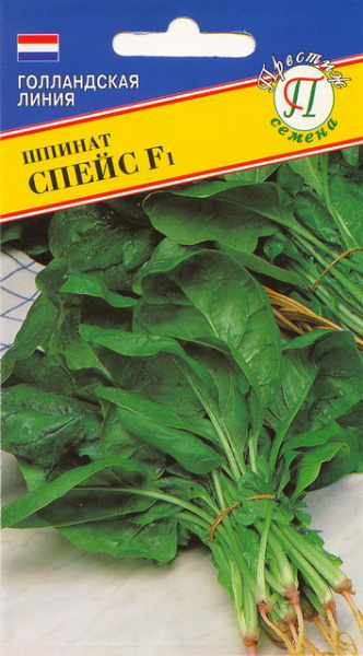 Спейс