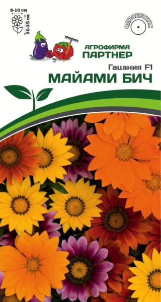 Гацания майами бич