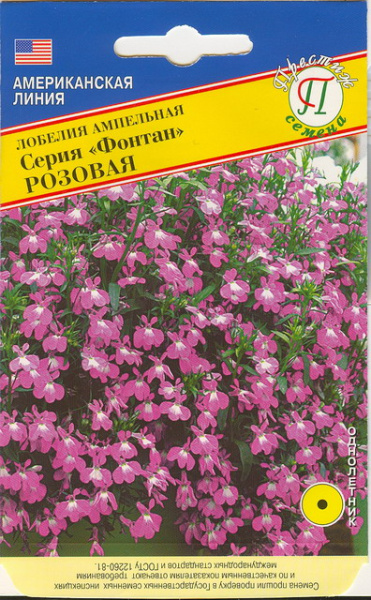 Лобелия розовая