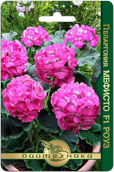 Пеларгония Мефисто F1 Роуз (5шт) Биотехника/10