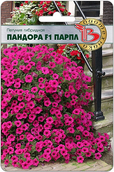 Петуния Пандора Парпл F1 (5шт) Биотехника/10