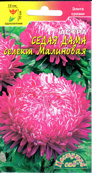 Астра Седая дама Малиновая (0,05г) ЦвСад/10