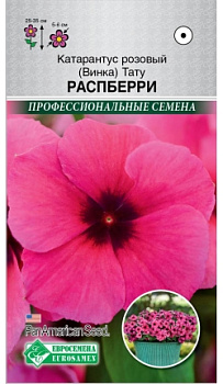 Катарантус розовый (Винка) ТАТУ  Распберри (5шт)/PanAm  Seeds/Евросемена/10