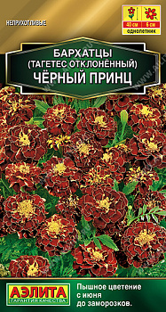 Бархатцы Черный принц отклоненные (0,3г) Аэлита/10