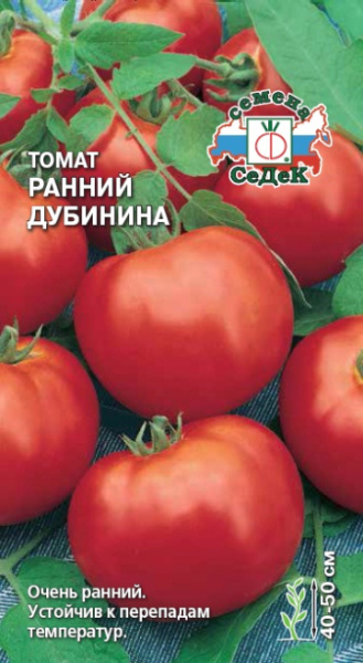 tomat_ranniy_dubinina