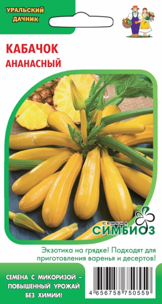 kabachok-ananasnyy-1