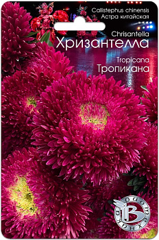 Астра Хризантелла Тропикана (30шт) Биотехника/10