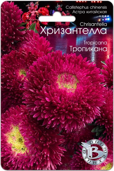 00000014605_1