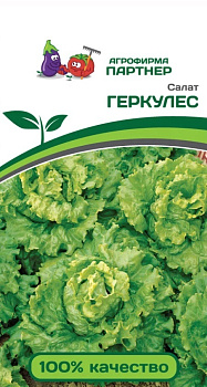 Салат Геркулес (0,5г) Партнер/10