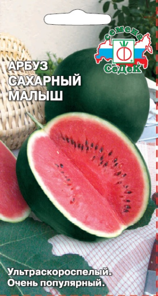 arbuz_sakharnyy_malysh