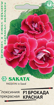 Глоксиния Брокада F1 красная (4шт) Гавриш/10