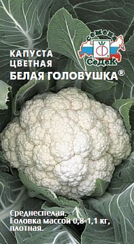 Капуста цветная Белая головушка (0.5г) СеДеК/10