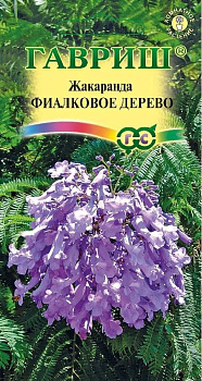 Жакаранда Фиалковое дерево (3шт) Гавриш/10