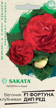 Бегония Фортуна Дип Рэд F1 (4шт) Гавриш/10