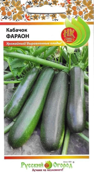 Кабачок Фараон