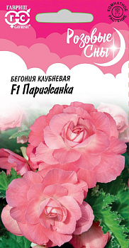 Бегония Парижанка F1 (4шт) Гавриш/10