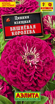Цинния Вишневая королева (0,3г) Аэлита/10