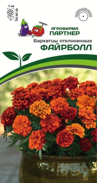 Бархатцы Файрболл