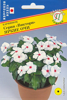 Барвинок Виктори Яркие очи (10шт) Престиж/10