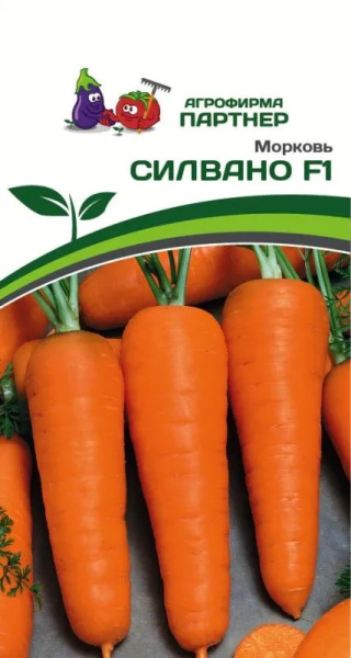 Морковь силвано