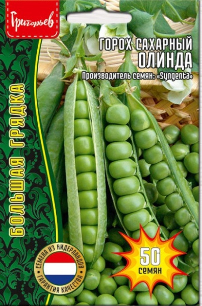 Горох Олинда