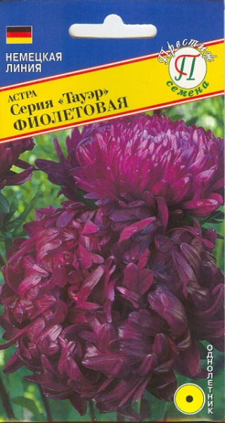 Астра Тауэр Фиолетовая
